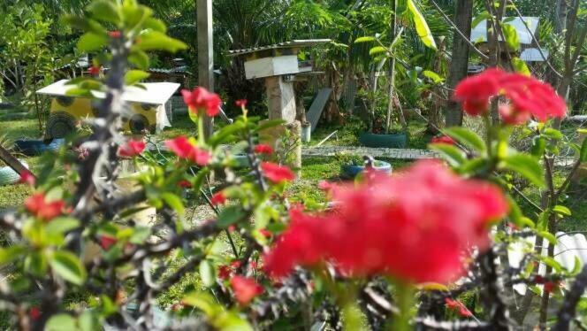 Trigona Chalet Marang Exterior foto