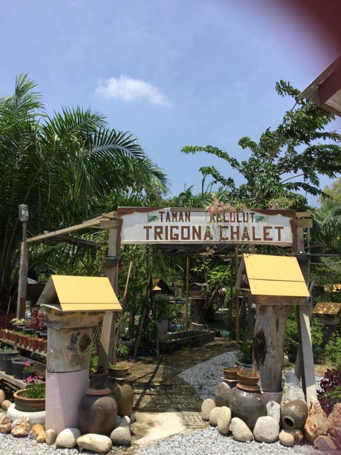 Trigona Chalet Marang Exterior foto